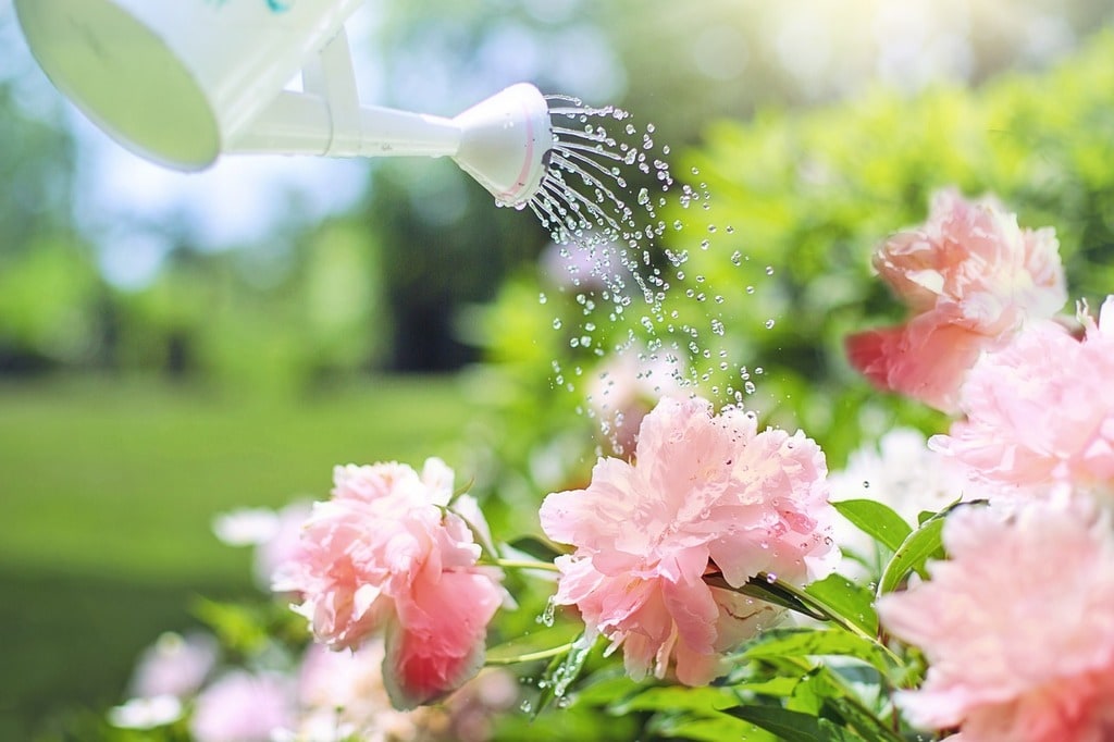 Les bénéfices psychologiques du jardinage